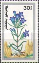 Gentiana puenmonanthe