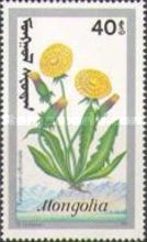 Taraxacum officinale