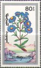 Aster amellus