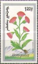 Cirsium rivulare