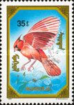 Northern Cardinal (Cardinalis cardinalis)