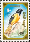 Baltimore Oriole (Icterus galbula)