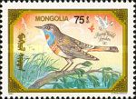 Bluethroat (Luscinia svecica)