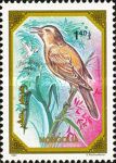 Great Reed Warbler (Acrocephalus arundinaceus)