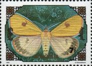 Clouded Buff Moth (Diacrisia sannio)
