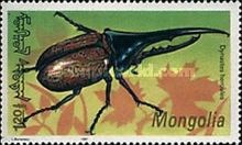 Hercules Beetle (Dynastes hercules)