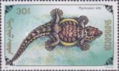 Kuhl's Flying Gecko (Ptychozoon kuhli)