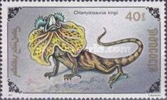 Frilled-neck Lizard (Chlamydosaurus kingii)