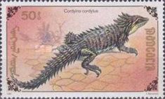 Cape Girdled Lizard (Cordylus cordylus)