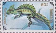 Common Basilisk (Basiliscus basiliscus)
