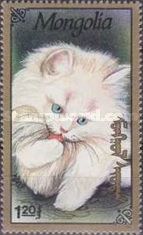 Domestic Cat (Felis silvestris catus)