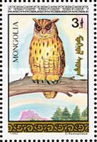 Eurasian Eagle-Owl (Bubo bubo)
