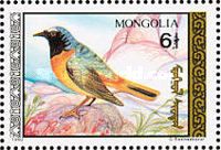 Hodgson's Redstart (Phoenicurus hodgsoni)