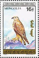 Rough-legged Hawk (Buteo lagopus)