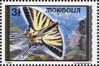 Scarce Swallowtail (Iphiclides podalirius)