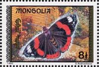 Red Admiral (Vanessa atalanta)