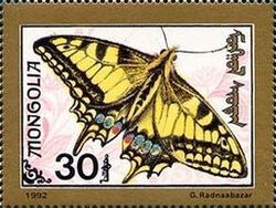 Swallowtail (Papilio machaon)