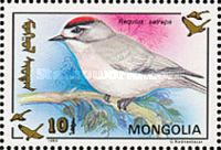 Golden-crowned Kinglet (Regulus satrapa)