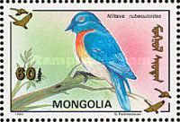 Blue-throated Blue Flycatcher (Cyornis rubeculoides)