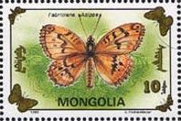 High Brown Fritillary (Fabriciana adippe)