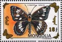 Southern White Admiral (Limenitis reducta)