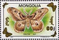 Large emperor moth (Saturnia pyri)