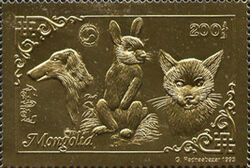 Cats, dogs, rabbit