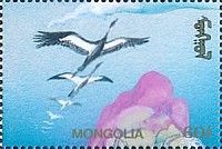 Crane in flight