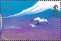 Two birds flying
