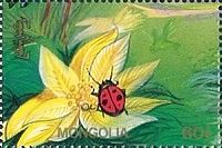 Lady bug on flower
