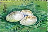 Bird’s eggs.