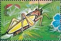 Grasshopper