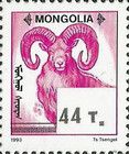 Argali (Ovis ammon)