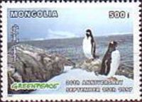 Adelie Penguin (Pygoscelis adeliae)
