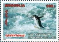 Adelie Penguin (Pygoscelis adeliae)