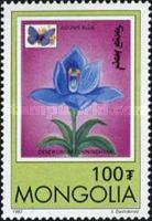 Adonis Blue (Polyommatus bellargus), Bamboo Orchid (Dendrobi