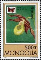 Small Tortoiseshell (Aglais urticae), Lady's Slipper Orchid