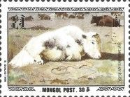Domestic Yak (Bos grunniens)