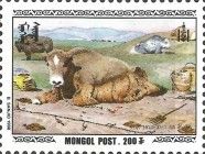 Domestic Yak (Bos grunniens)