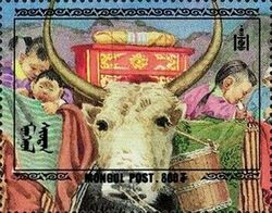 Domestic Yak (Bos grunniens)