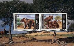 Gobi Bear (Ursus arctos gobiensis)