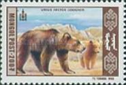 Gobi Bear (Ursus arctos gobiensis)