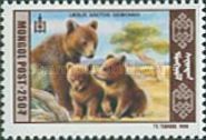 Gobi Bear (Ursus arctos gobiensis)