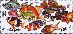 Fish