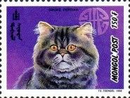 Smoke Persian (Felis silvestris catus)