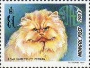 Long-haired White Persian (Felis silvestris catus)