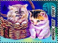 Kittens (Felis silvestris catus), Basket