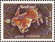Rabbit