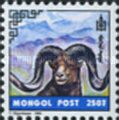 Argali (Ovis ammon)