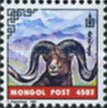 Argali (Ovis ammon)